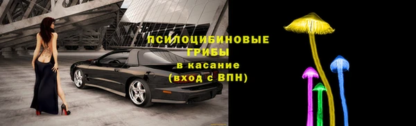 каннабис Аркадак